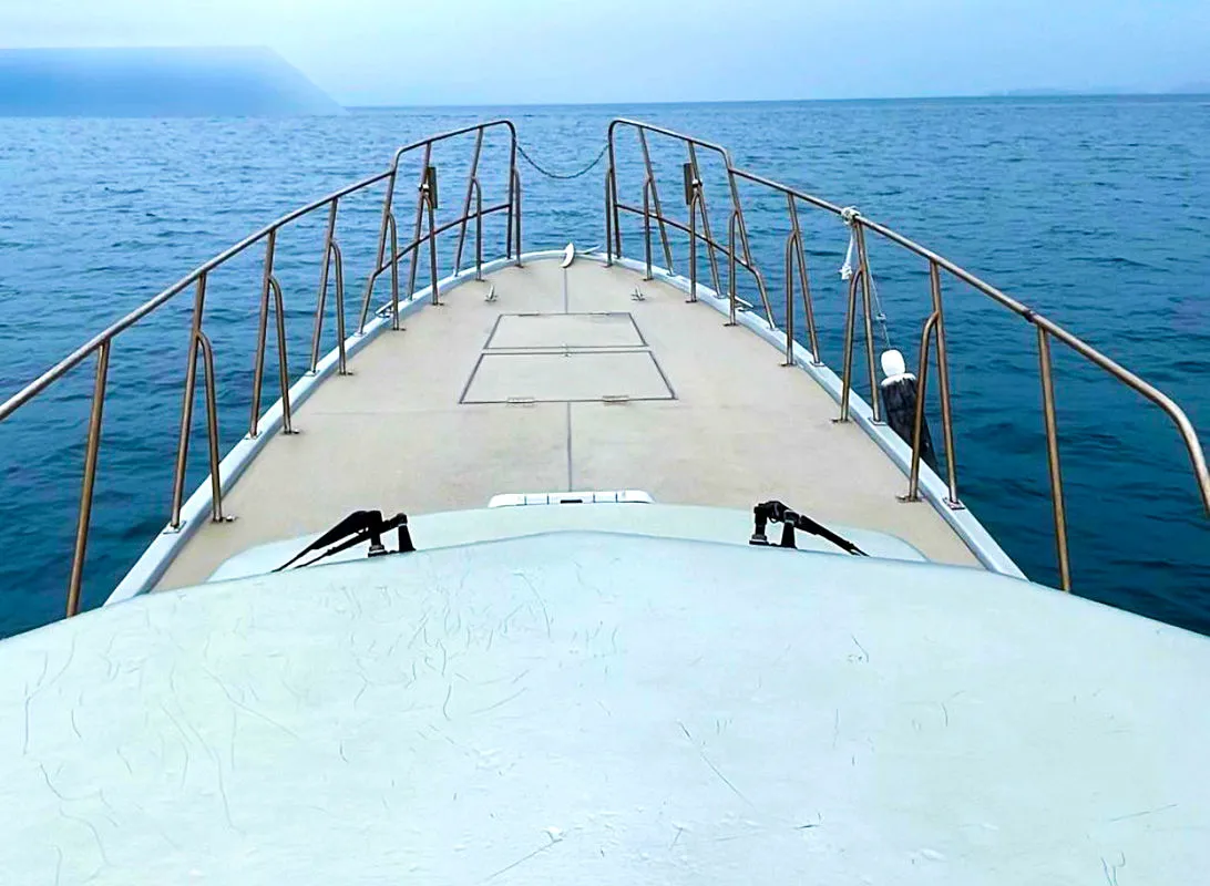 ギャラリー画像11