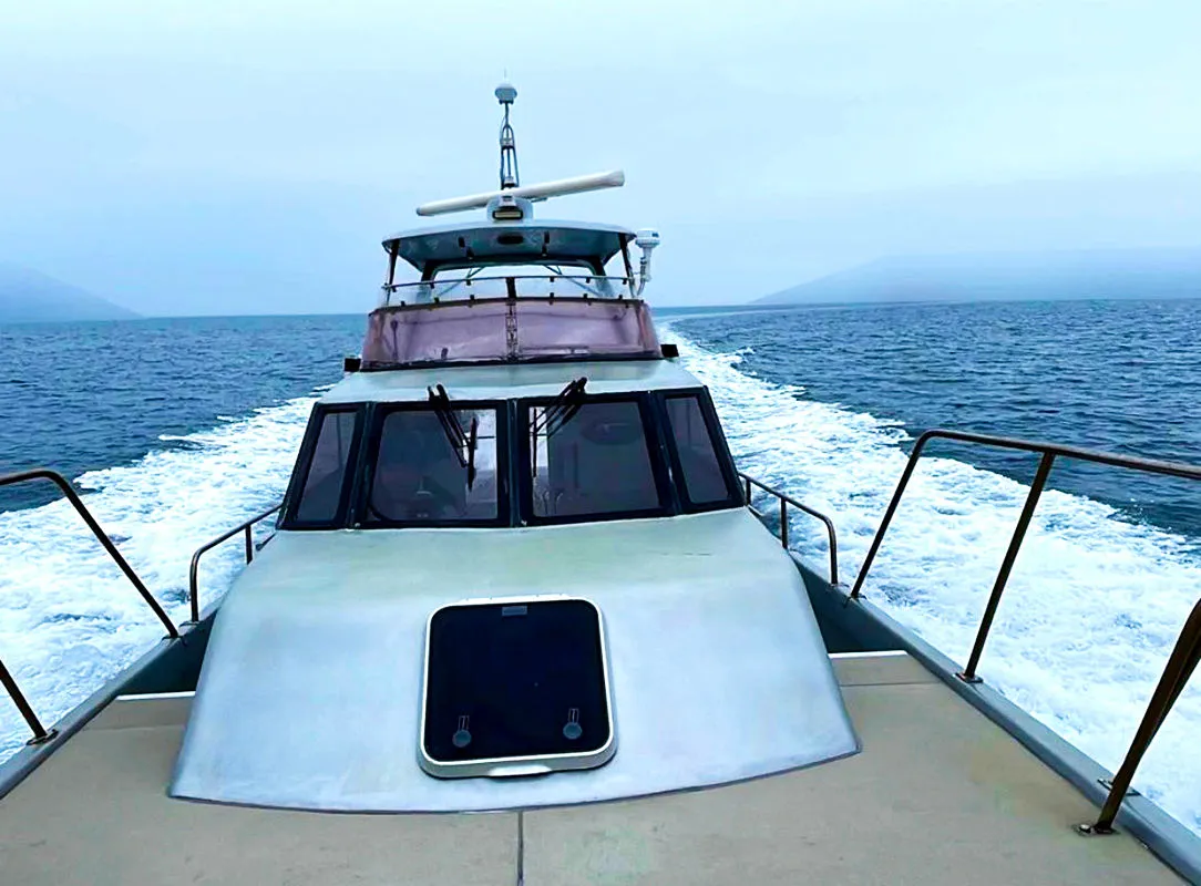 ギャラリー画像14